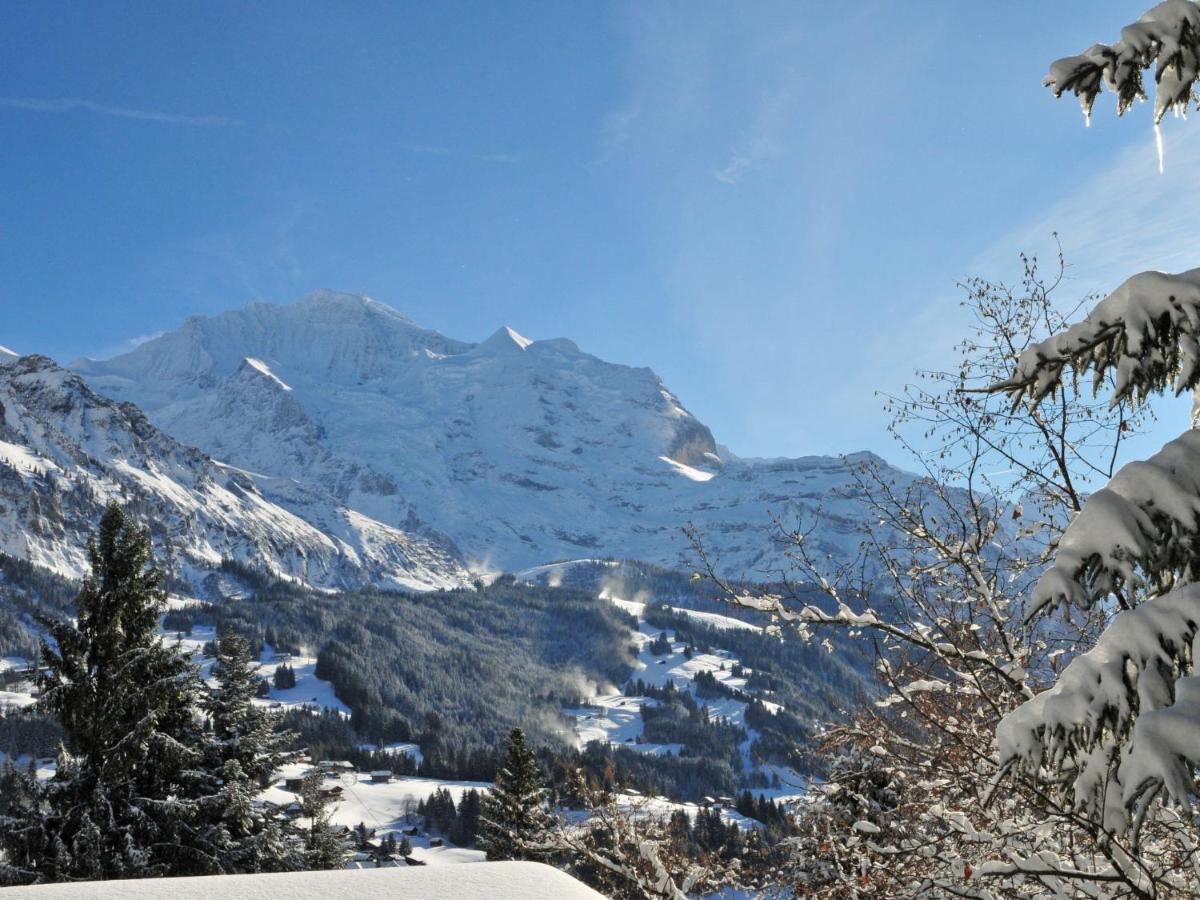 Apartment Rustica By Interhome Wengen Exterior foto